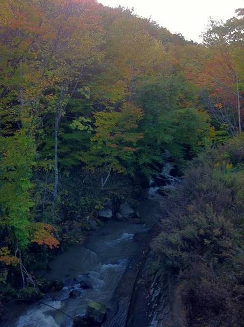 川内村 川.JPG
