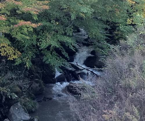 川内村 川1.JPG