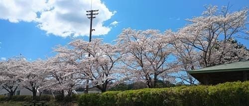 いわき総合運動公園.jpg