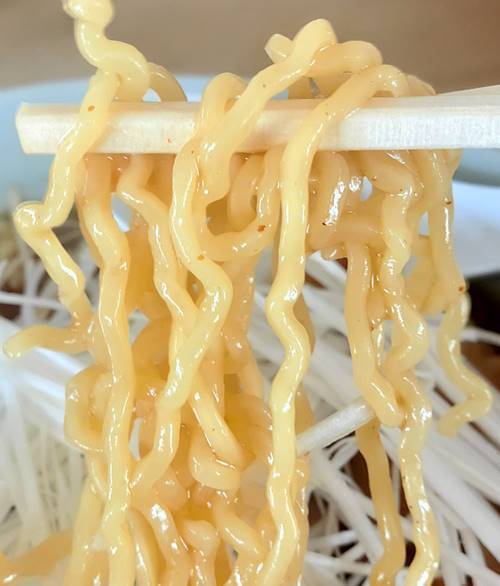 がんこラーメン ねぎラーメン 麺.jpg