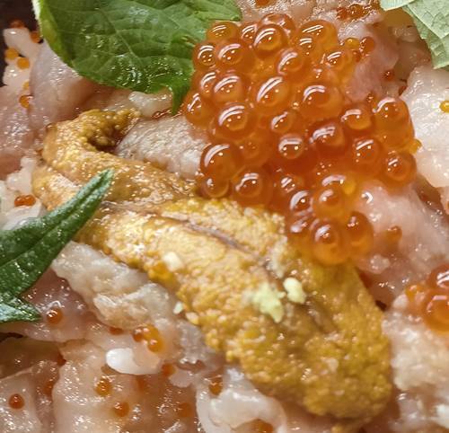 くら寿司 感動のくらランチ 旬の海鮮丼 うに&いくら.jpg