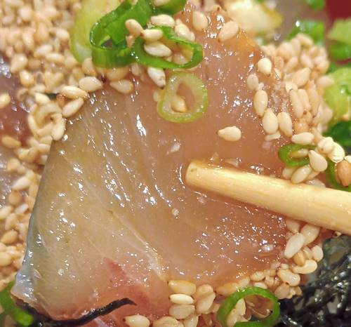 こつこつ庵 関さば琉球丼定食 関さば.jpg