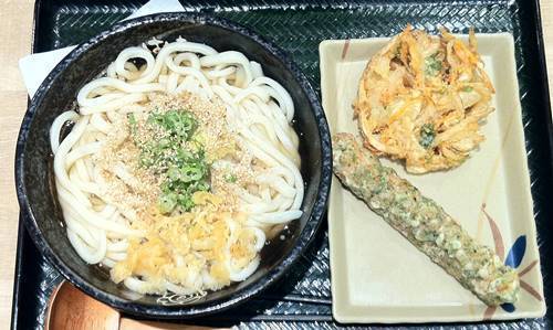 はなまるうどん1 (2).JPG