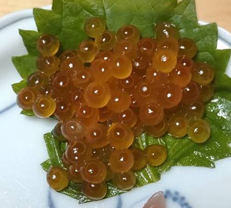 はま寿司 特上5種の海鮮丼 いくら.jpg