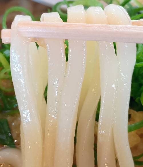 ウエスト ごぼう天うどん うどん.jpg