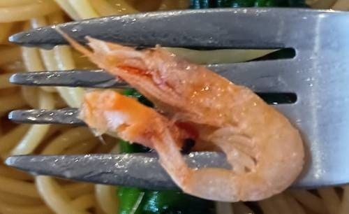 ココス 桜海老と菜の花のアーリオ・オーリオパスタランチ 桜海老.jpg