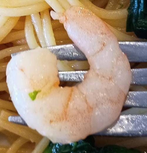 ココス 桜海老と菜の花のアーリオ・オーリオパスタランチ 海老.jpg