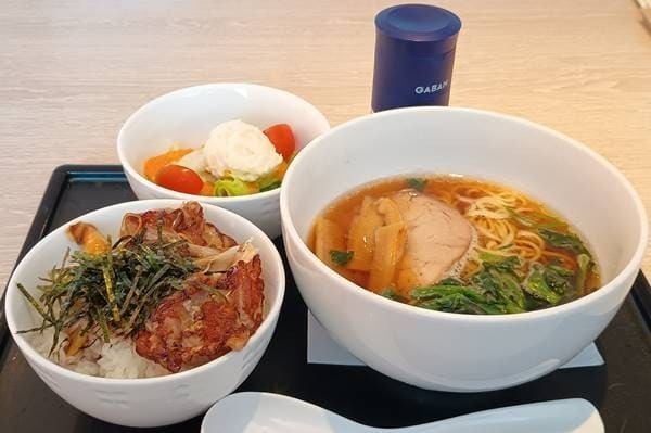 デニーズ 選べる麺&ミニ丼ランチ(1).jpg