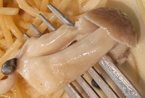 マンマ・マリィ きのこいっぱいクリーム しめじ.jpg