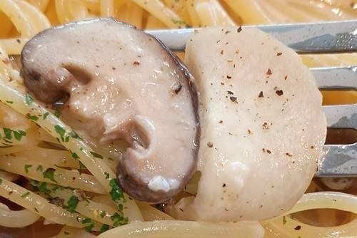 マンマ・マリィ きのこいっぱいクリーム 椎茸.jpg