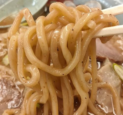 ラーメン山岡家 海老薫る濃厚あさり醤油ラーメン 麺.jpg