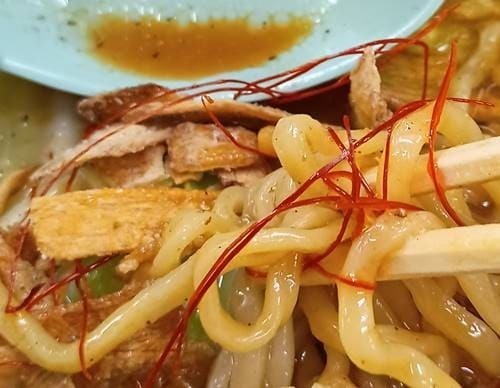 ラーメン山岡家 特製カレーとんこつラーメン 糸唐辛子.jpg
