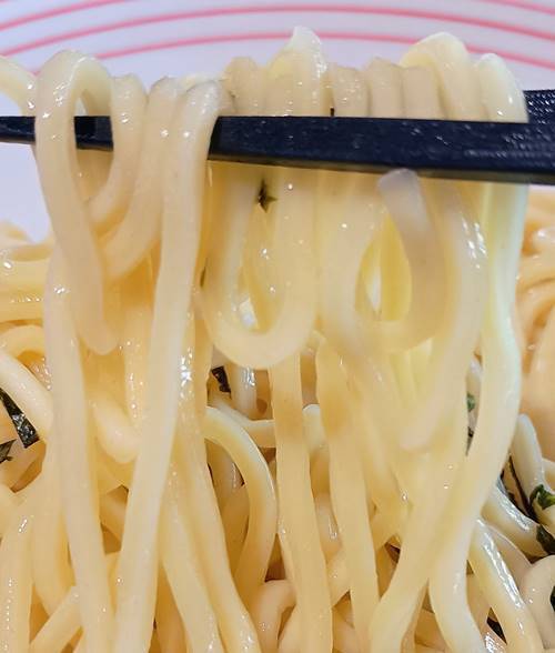リンガーハット 鶏白湯つけ麺炭火焼き鴨肉入り 麺.jpg