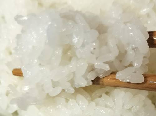 三菱電機 備長炭 炭炊釜 NJ-VED10 ご飯(ふつう)(1).jpg