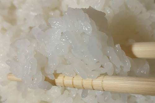三菱電機 備長炭 炭炊釜 NJ-VED10 ご飯(芳醇炊き)(1).jpg