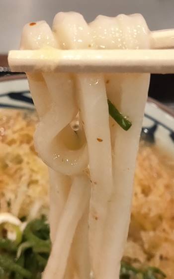 丸亀製麺 麺.jpg