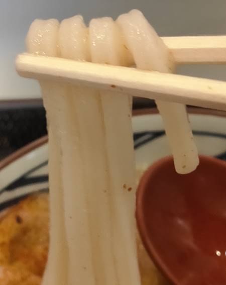 丸亀製麺 麺.jpg