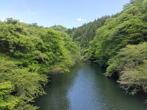 北茨城市 水沼ダム (1).jpg