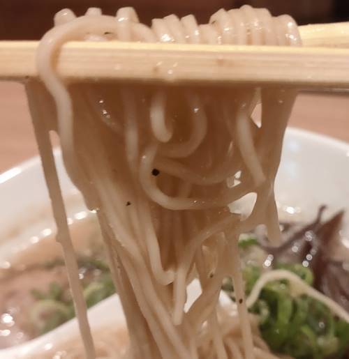 博多ラーメン駿蔵 博多豚骨ラーメン 麺.jpg