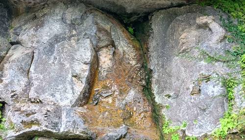 古園石仏(1).jpg