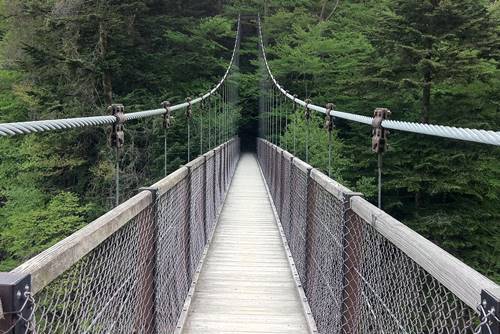 回顧の吊橋.JPG