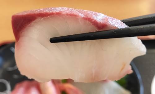大津漁港直営 市場食道 刺身定食 カンパチ.jpg