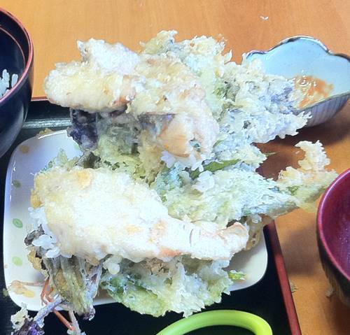 天心丸 ミックス天丼 2.JPG