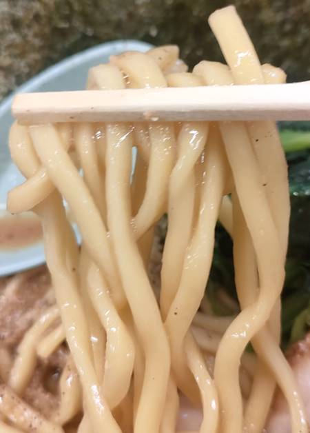 宮本商店 豚骨醤油ラーメン 麺.jpg