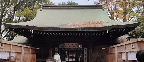 川越総鎮守氷川神社 本殿.jpg