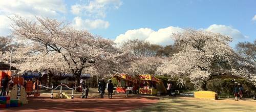 松ケ岡公園.JPG