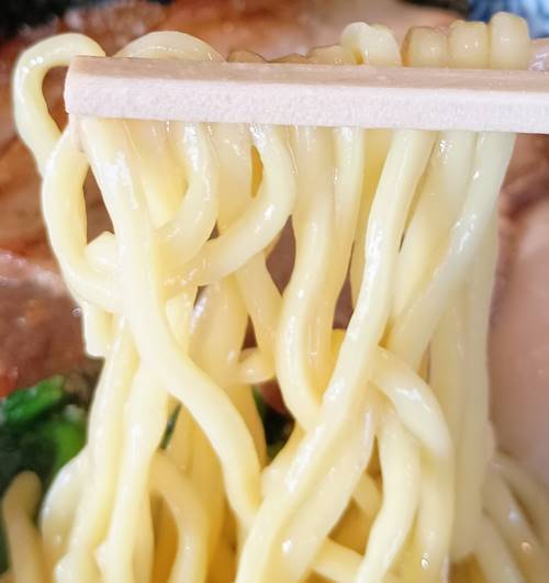 横浜家系ラーメン 武骨家 塩とんこつSPラーメン 麺.jpg