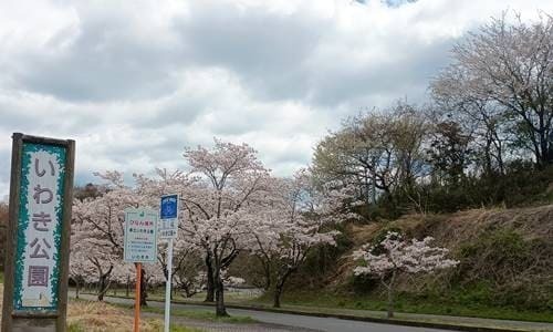 県営いわき公園 入り口.jpg