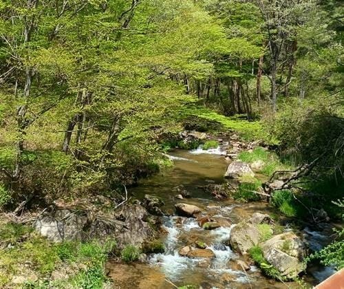 福島県県道112号線沿いの渓谷.jpg