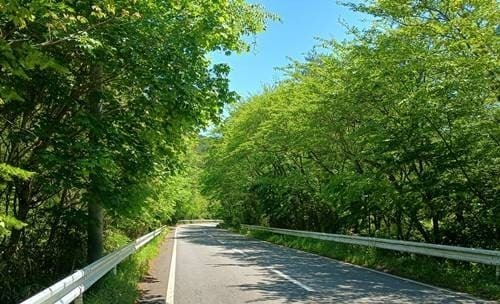 福島県県道35号線.jpg