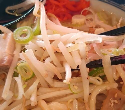 自家製麺専門店 マタタビ商店 ジロえもん 味噌 もやし.jpg