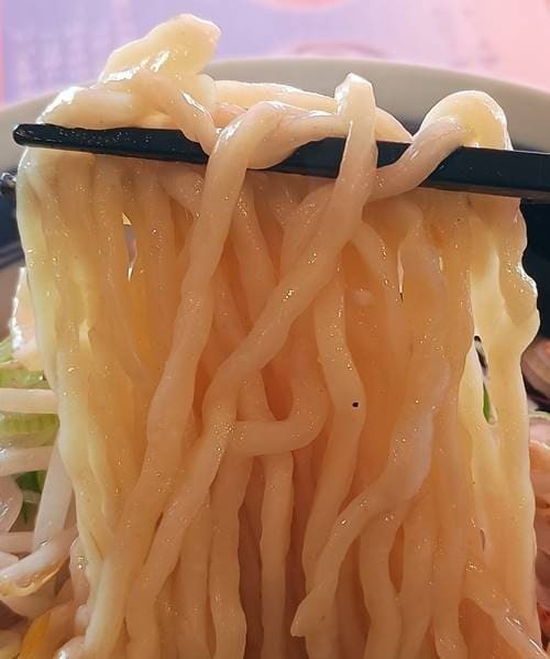 自家製麺専門店 マタタビ商店 ジロえもん 味噌 麺.jpg