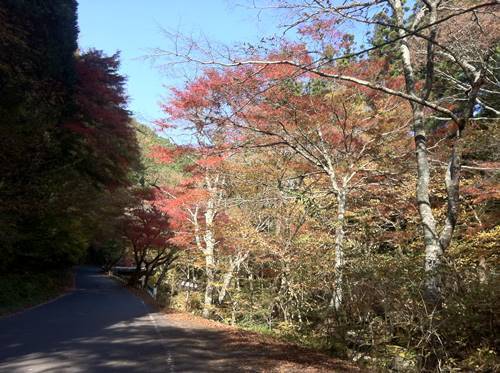 花園渓谷 花貫渓谷紅葉ツーリング 絶景を堪能し花園神社参拝 バイク好きペケの気ままにブログ