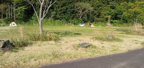茂庭広瀬公園キャンプ場 サイト.jpg