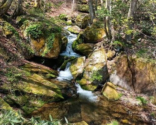 高塚高原キャンプ場 途中の渓谷.jpg