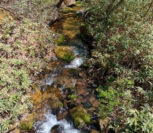 高塚高原キャンプ場 途中の渓谷(1).jpg