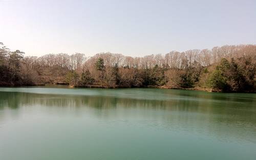 鶏頭場の池.JPG