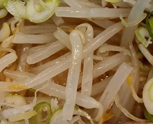 麺屋 海山 味噌ラーメン もやし.jpg