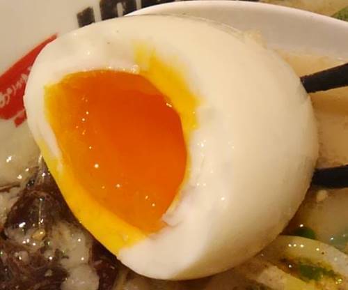 IPPUDO RAMEN EXPRESS 塩玉子.JPG